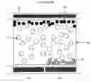Fig. 01 - Electrophoretic display fluid