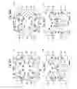 Fig. 09 - Optical device and manufacturing method therefor