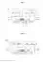 Fig. 08 - Light emitting device package and display device therewith