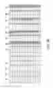 Fig. 06 - Determining neighbor lists and PN offsets for new sector