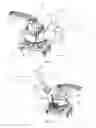 Fig. 02 - Electric arc furnace