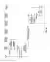 Fig. 06 - Destination device billing according to call recipient