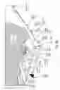 Fig. 08 - Biometric image sensing