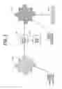 Fig. 04 - Methods and apparatus for automated true object-based image analysis and retrieval