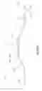 Fig. 02 - Ridge waveguide serial interferometers