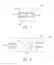 Fig. 04 - SYSTEM AND METHOD FOR MANAGING OPTICAL SYSTEM FAILURE