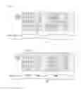 Fig. 09 - Apparatus and method for mapping a client signal