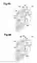 Fig. 09 - New/used cartridge detection