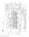 Fig. 02 - Image forming apparatus including a cleaning member to clean a detection surface of a toner density detection unit