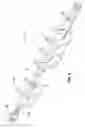 Fig. 07 - REPLACEABLE TIP FOR A BIT OR AUGER BIT
