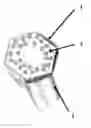 Fig. 01 - NOVEL SCREW HEAD THAT REDUCES OPERATIONAL TORQUE