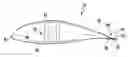 Fig. 01 - Wind turbine rotor blade with trailing edge extension and method of attachment