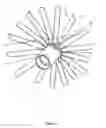 Fig. 07 - Wind Turbine