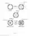 Fig. 02 - Method for fabricating a gold nanoparticle