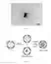 Fig. 14 - Method for fabricating a gold nanoparticle