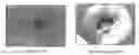 Fig. 01 - Methods for neutralizing anthrax or anthrax spores