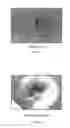 Fig. 02 - Methods for neutralizing anthrax or anthrax spores