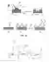 Fig. 05 - Apparatus and method for detecting one or more analytes