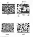Fig. 04 - Porous ceramic honeycomb articles and methods for making the same