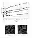 Fig. 05 - Porous ceramic honeycomb articles and methods for making the same