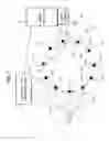 Fig. 08 - Specimen processing system