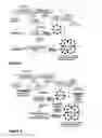 Fig. 02 - Particulate, heterogeneous solid COabsorbent composition, method for its preparation and use thereof