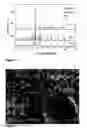 Fig. 03 - Particulate, heterogeneous solid COabsorbent composition, method for its preparation and use thereof