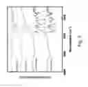 Fig. 13 - POROUS NANOSTRUCTURED POLYIMIDE NETWORKS AND METHODS OF MANUFACTURE
