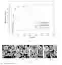 Fig. 09 - Ion substituted calcium phosphate particles