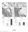 Fig. 04 - Peptides whose uptake in cells is controllable