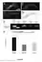 Fig. 06 - Peptides whose uptake in cells is controllable