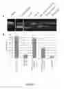 Fig. 08 - Peptides whose uptake in cells is controllable