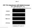 Fig. 07 - Charge-dynamic polymers and delivery of anionic compounds