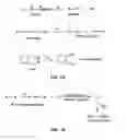 Fig. 02 - Pyrazine derivatives for bioconjugation
