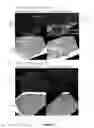 Fig. 06 - Peptides whose uptake in cells is controllable
