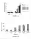 Fig. 02 - A3 adenosine receptor ligands for modulation of pigmentation