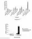 Fig. 06 - A3 adenosine receptor ligands for modulation of pigmentation