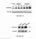 Fig. 10 - A3 adenosine receptor ligands for modulation of pigmentation