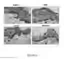 Fig. 14 - A3 adenosine receptor ligands for modulation of pigmentation