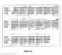 Fig. 02 - GLYCOSYLATED HUMAN ALPHA INTERFERON MUTEINS, METHOD FOR OBTAINING THEM AND USE