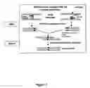 Fig. 04 - GLYCOSYLATED HUMAN ALPHA INTERFERON MUTEINS, METHOD FOR OBTAINING THEM AND USE