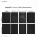 Fig. 03 - Compositions and methods for enhancing virus efficacy