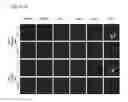 Fig. 29 - Compositions and methods for enhancing virus efficacy