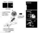 Fig. 01 - Method for differentiation of stem cells into vascular cells and the induction of angiogenesis using the same