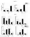 Fig. 07 - Composition for manufacturing a scaffold for tissue engineering, and a method of making it