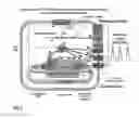 Fig. 02 - Engineered biological pacemakers