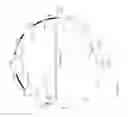 Fig. 11 - Engineered biological pacemakers