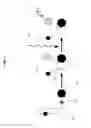 Fig. 02 - Biological targeting compositions and methods of using the same