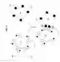 Fig. 04 - Biological targeting compositions and methods of using the same