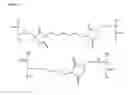 Fig. 07 - Cross-Linking of Superoxide Dismutase Monomers